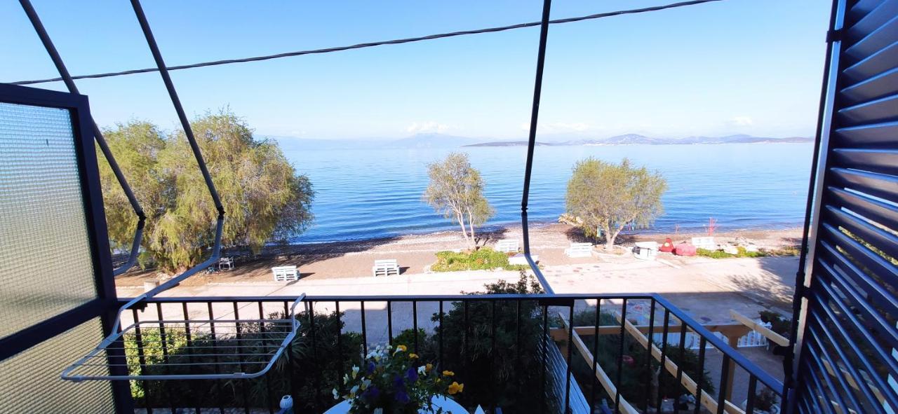 Vikos Beach Apartments Paralia Irion Extérieur photo