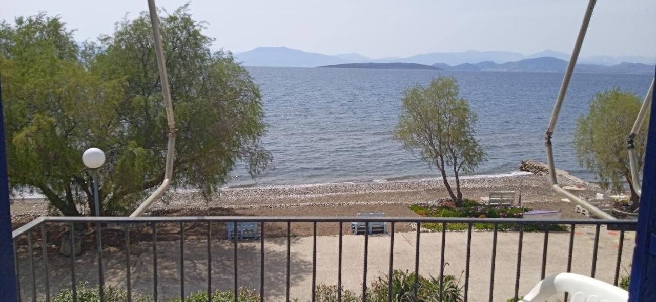 Vikos Beach Apartments Paralia Irion Extérieur photo