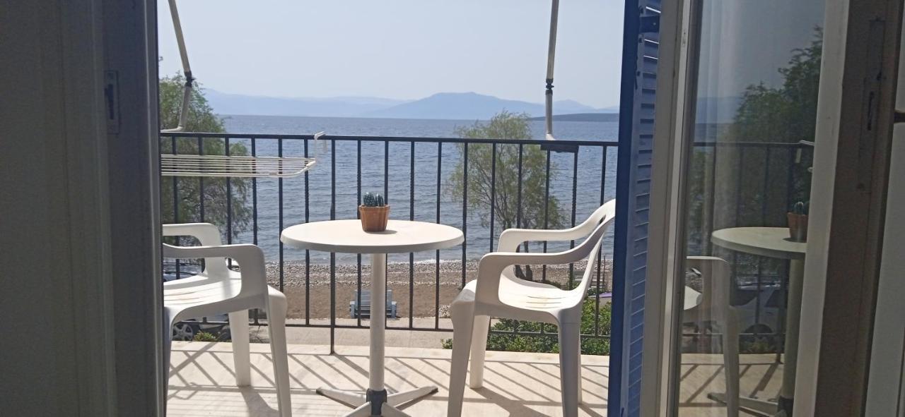 Vikos Beach Apartments Paralia Irion Extérieur photo