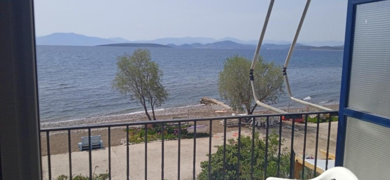Vikos Beach Apartments Paralia Irion Extérieur photo